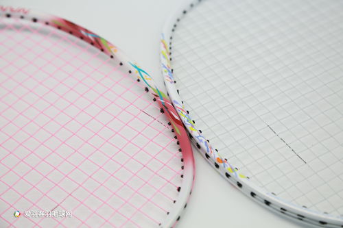 原神羽球环宝箱怎么解锁