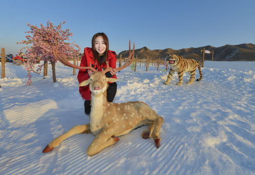 摩尔庄园雪獭什么时候钓 雪獭在哪里钓