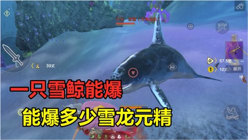 妄想山海红鳐的具体位置以及获得红鳐丹的攻略分享