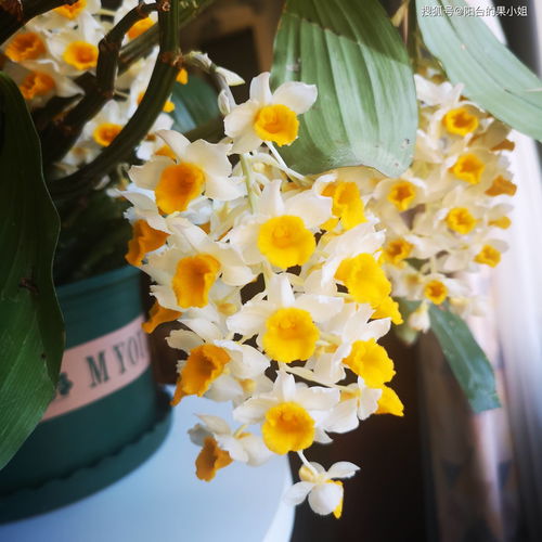 原神息灾全方位评析 原神息灾值得抽吗