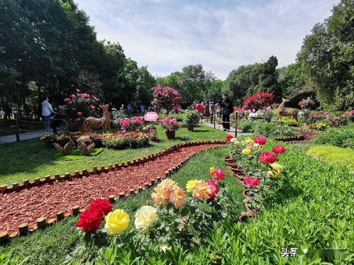 花田小院道具怎么用 花田小院新手指引大全