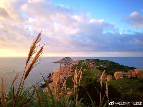 无极仙途东极岛怎么过 东极岛真闪流通关攻略