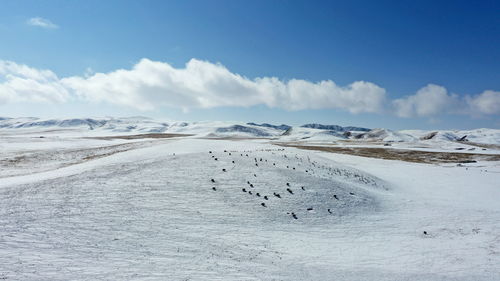 原神蜃景祭场在哪里 原神蜃景祭场在哪里怎么进去 原神蜃景祭场在哪里 原神蜃景祭场在哪里怎么进去