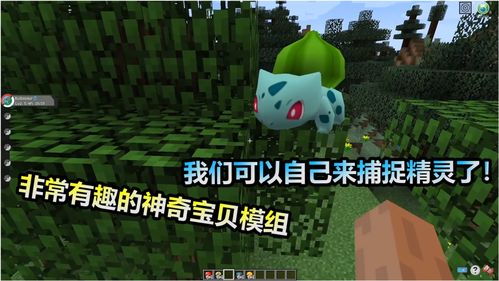 我的世界神奇宝贝前期抓什么精灵 我的世界神奇宝贝前期攻略