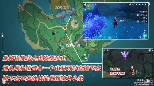 原神掣电树翠翎恐蕈传送锚点怎么开启 原神掣电树翠翎恐蕈传送锚点开启方式
