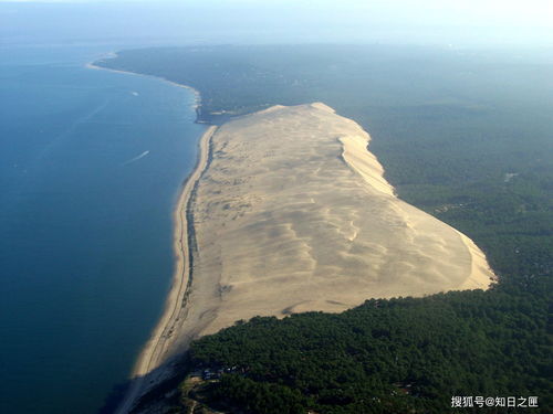 挨饿荒野帕劳群岛大娃任务攻略