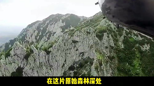 挨饿荒野罗马尼亚高山攻略