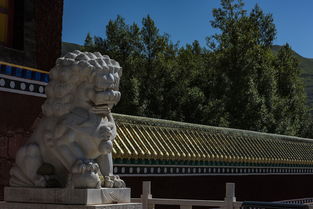 剑与远征古老的石碑进不去怎么办