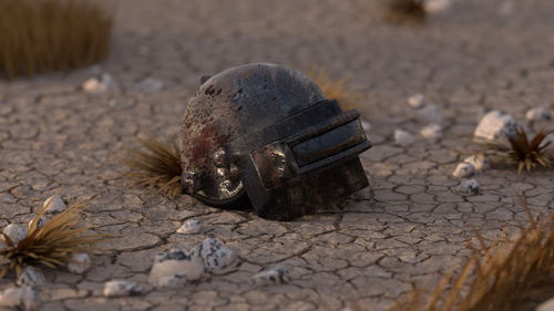 和平精英深海小丑鱼多少钱能抽到