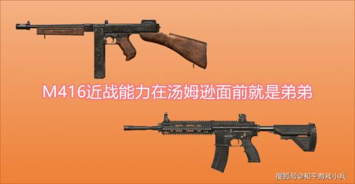 和平精英仓鼠灰灰M416怎么样 仓鼠灰灰M416值得入手吗