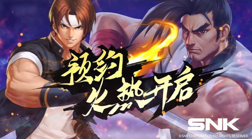 拳魂觉醒阵容搭配推荐