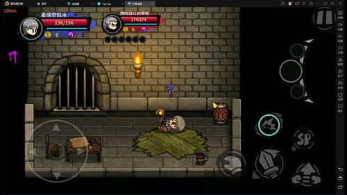 失落王冠S伙伴排行榜