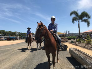 行走大师第12关玩法 山羊踩高跷赛道12攻略