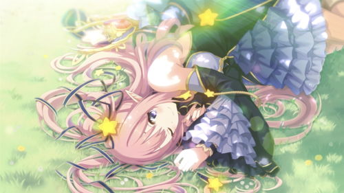 公主连结Re法系肉盾培养推荐