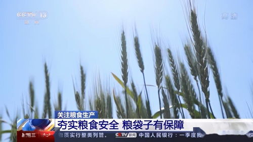 美媒评腾讯斥巨资收购超级细胞：为进军全球铺路