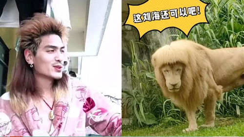 英国靓妹直播模仿所有《精灵宝可梦GO》精灵叫声 英国靓妹直播模仿所有《精灵宝可梦GO》精灵叫声