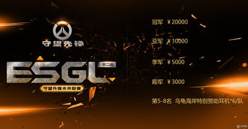 国内首个《守望先锋》线下女子职业战队成立