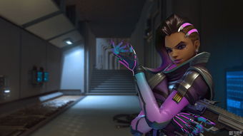 Dva要开直播？《守望先锋》英雄们的本职工作大猜想