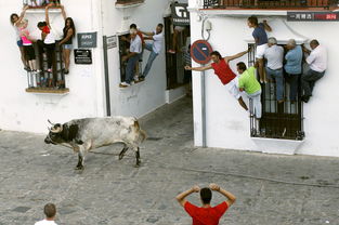 有教养的牛仅排第三！盘点中国炉石烧绳帝