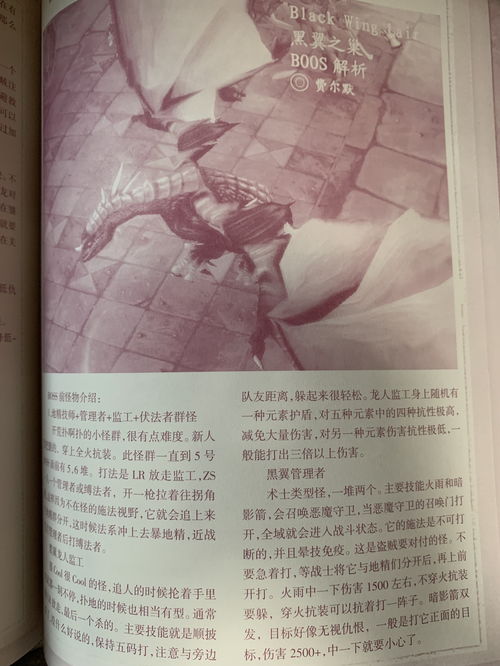 魔兽世界12周年活动 历史学家问题及答案一览