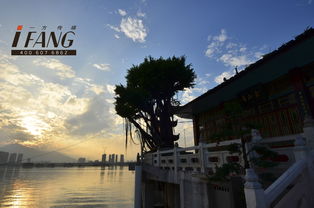 晨钟暮鼓如何安之若素？“网游宵禁”不过满纸荒唐