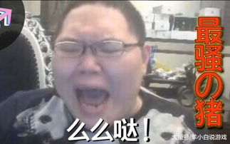 PDD：直播太累两个月以后不干了 百万骚猪粉无家可归