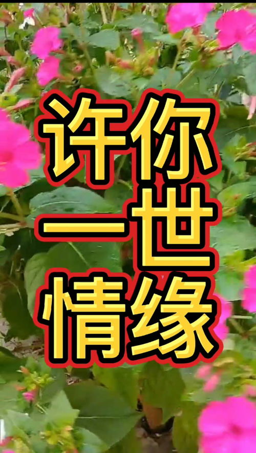 爱在情缘服等你 九阴真经给你不一样的“5.20”