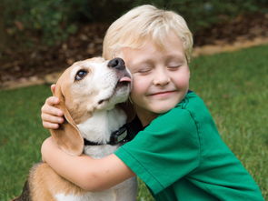 【游戏编辑部的故事】抱着情怀不撒手 粉丝骂你真的狗