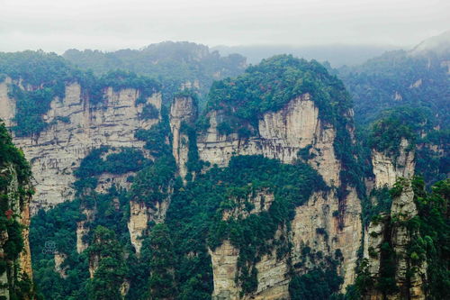 风景如画只是表面 在张家界寻找你的《梦幻花园》