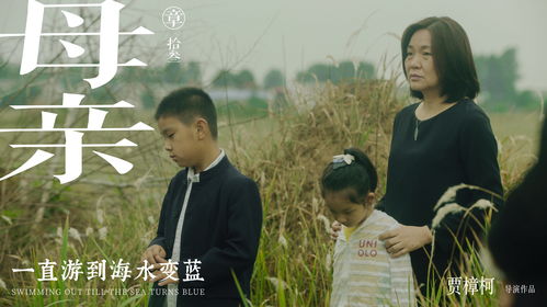 新游《Beyond Blue》曝光 广袤海洋和你约会