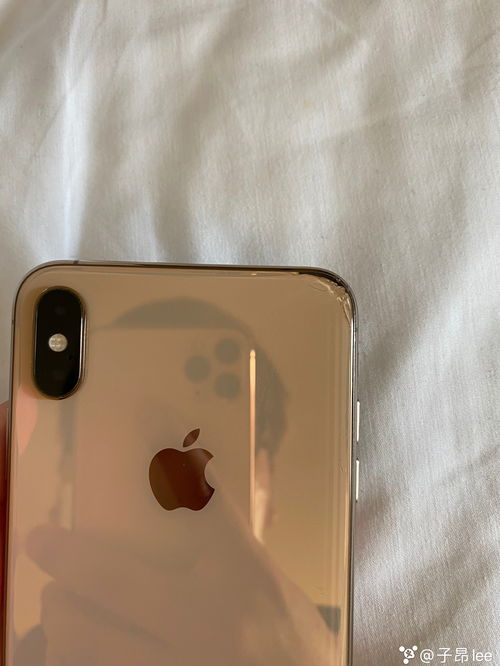 iPhone Xs Max曝光：国行双卡6.5寸屏 机身重量不轻