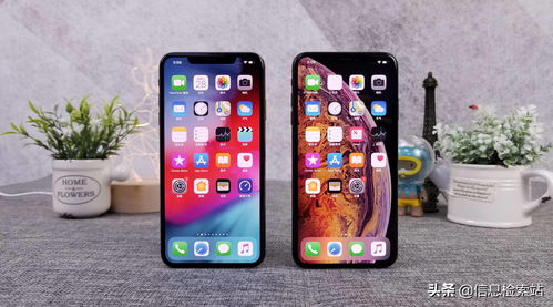 苹果公布XSXS Max维修价格 换个屏等于换个新手机