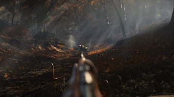 《战地5》发行预告片正式公布 11月20日重返二战 《战地5》发行预告片正式公布 11月20日重返二战