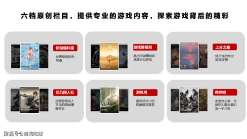 B社漏洞百出 《辐射76》帆布包退换曝隐私问题