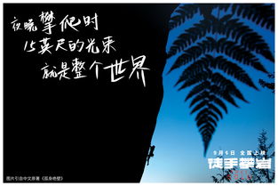 2018各平台佳作盘点 值得载入史册的一年