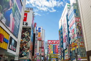 日本一新作《致全人类》预告 探索荒废秋叶原