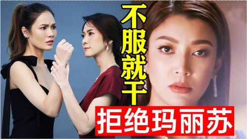最强大脑逍遥散人个人资料_最强大脑逍遥散人为什么受欢迎_52PK