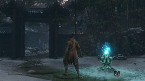《只狼:影逝二度》遭偷跑 墨西哥惊现Xbox实体版