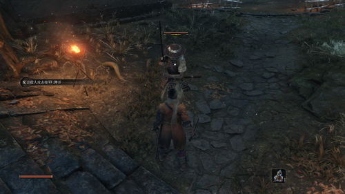 《只狼:影逝二度》1.03版本即将上线 部分Boos惨遭削弱