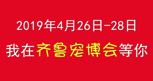 2019网易互动文娱产品发布会将开始 你准备好了吗？