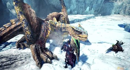 《怪物猎人:世界》冰原DLC联动PS4 限定周边公开
