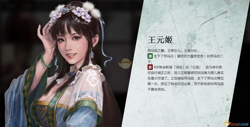 《三国志14》王元姬立绘公布 书香门第绝美人妻