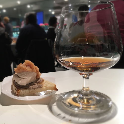 《那里水似美酒》switch版预告发布 11月22日正式发售 《那里水似美酒》switch版预告发布 11月22日正式发售