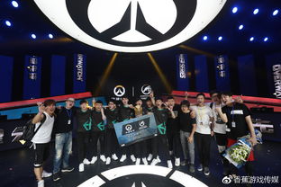 中国《DOTA2》职业联赛 LGD夺冠独揽80万元奖金