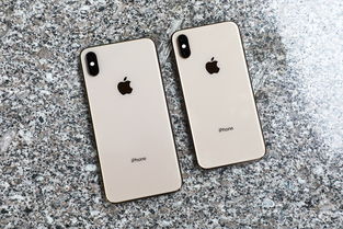 库克点评新iPhone SE：苹果最物超所值的iPhone