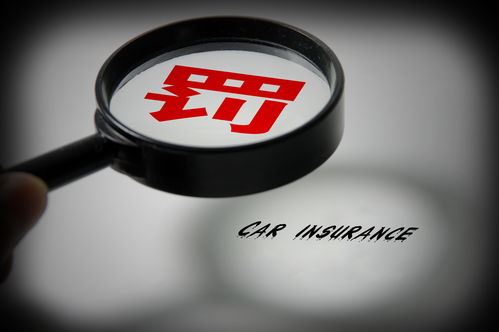 Steam特别好评《彼处水如酒》新史低价 每日特惠开启 Steam特别好评《彼处水如酒》新史低价 每日特惠开启