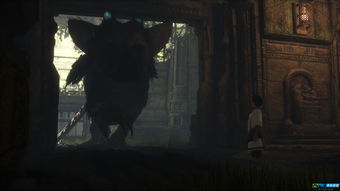 PS4独占游戏《最后的守护者》或拍电影 索尼影业打造