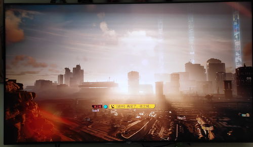 在《赛博朋克2077》中 你可以抚摸猫咪和狗狗