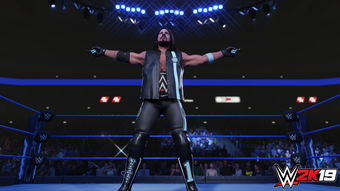 《WWE 2K竞技场》是该系列首款支持跨平台的游戏