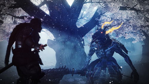 《仁王2》首个DLC“牛若战记”已发售 新宣传片欣赏